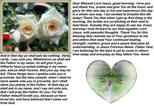SX260 HS ©Photo Artist Susan Ruth Robertson 090025006100 004 - Copy.JPG