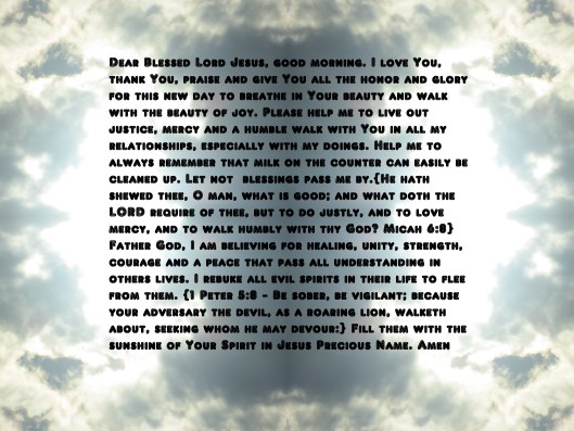 © Phot Artist Susan Ruth Robertson 090025006100 003 - Copy.JPG