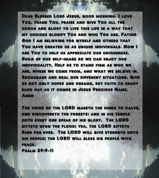 © Phot Artist Susan Ruth Robertson 090025006100 004 - Copy - Copy.JPG