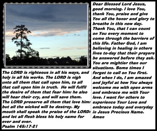 © Photo Artist Susan Ruth Robertson 090025006100 003 - Copy.JPG