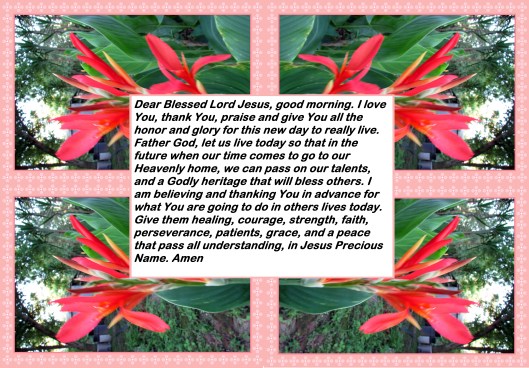 © Photo Artist Susan Ruth Robertson 090025006100 003 - Copy.JPG