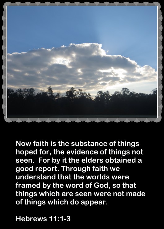 © Photo Artist Susan Ruth Robertson 090025006100 006 - Copy (3).JPG