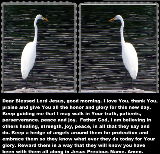 © Photo Artist Susan Ruth Robertson 090025006100 006.JPG