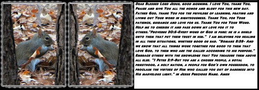 © Photo Artist Susan Ruth Robertson 090025006100 010 - Copy.JPG