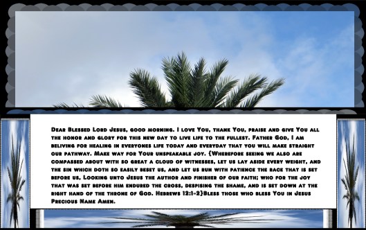 © Photo Artist Susan Ruth Robertson 090025006100 012 - Copy - Copy.JPG