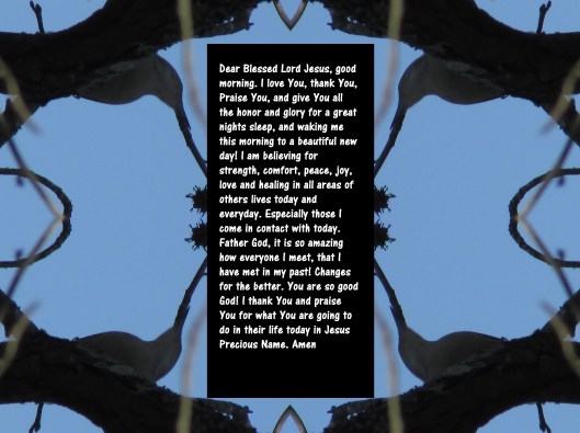 © Photo Artist Susan Ruth Robertson 090025006100 021 - Copy.JPG