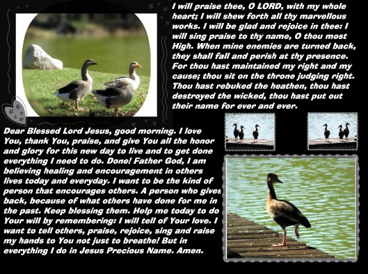 © Photo Artist Susan Ruth Robertson 090025006100 022 - Copy.JPG