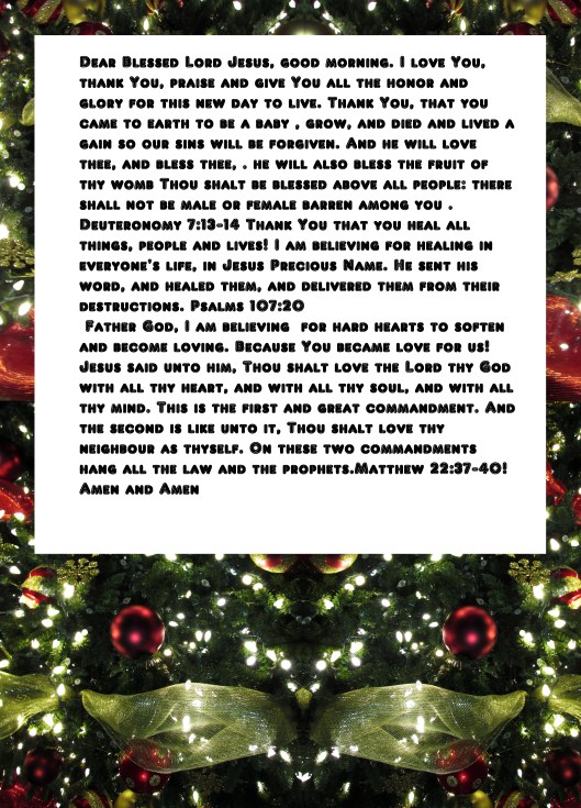 © Photo Artist Susan Ruth Robertson 090025006100 024 - Copy.JPG