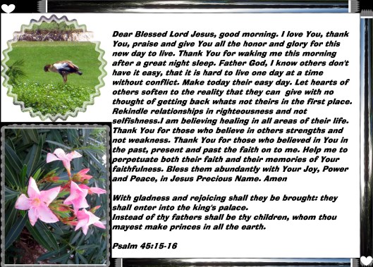 © Photo Artist Susan Ruth Robertson 090025006100 027 - Copy.JPG