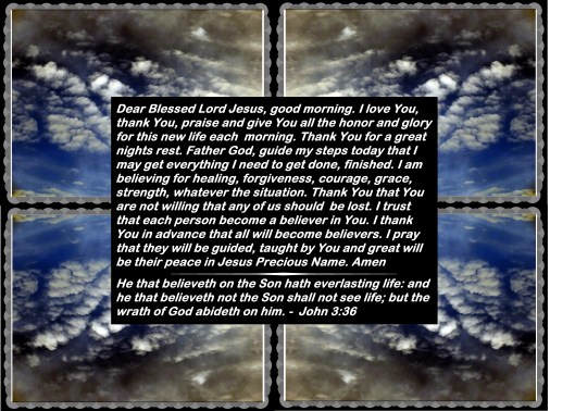 © Photo Artist Susan Ruth Robertson 090025006100 029 - Copy.JPG