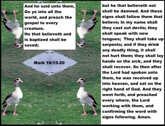 © Photo Artist Susan Ruth Robertson 090025006100 032 - Copy.JPG