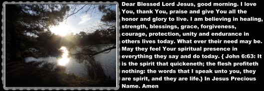 © Photo Artist Susan Ruth Robertson 090025006100 039 - Copy.JPG