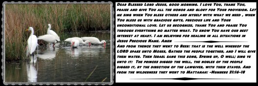 © Photo Artist Susan Ruth Robertson 090025006100 044 - Copy.JPG