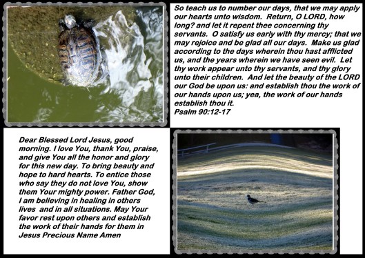 © Photo Artist Susan Ruth Robertson 090025006100 059 - Copy.JPG