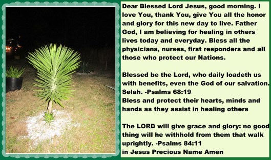 © Photo Artist Susan Ruth Robertson 090025006100 061 - Copy.JPG