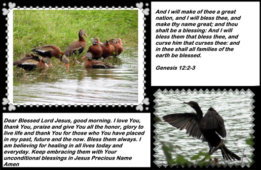 © Photo Artist Susan Ruth Robertson 090025006100 111 - Copy.JPG