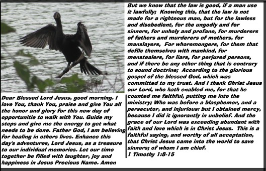 © Photo Artist Susan Ruth Robertson 090025006100 120 - Copy.JPG