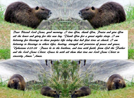 © Photo Artist Susan Ruth Robertson 090025006100 129 - Copy.JPG