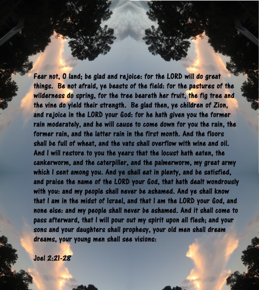 © Photo Artist Susan Ruth Robertson 090025006100 139 - Copy.JPG