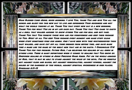 © Photo Artist Susan Ruth Robertson 090025006100 sx400 005 - Copy - Copy.JPG