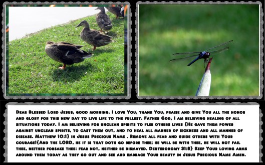 ©Photo Artist Susan Ruth Robertson 090025006100 013 - Copy.JPG