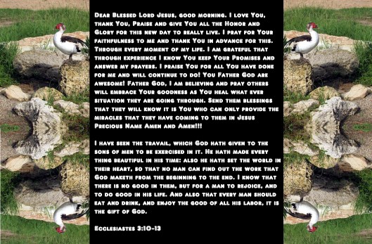 ©Photo Artist Susan Ruth Robertson 090025006100 (70) - Copy - Copy - Copy.JPG