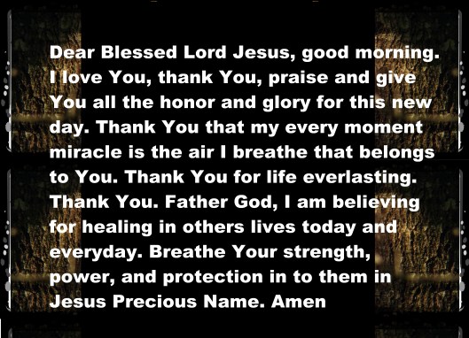 SX260 HS ©Photo Artist Susan Ruth Robertson 090025006100 012 - Copy.JPG