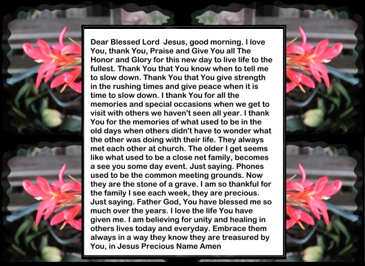 SX400IS © Photo Artist Susan Ruth Robertson 090025006100 006 - Copy - Copy.JPG