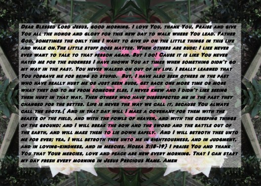 002 - Copy - Copy (2).JPG