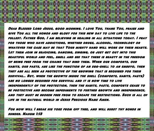 © Photo Artist Susan Ruth Robertson 007 - Copy - Copy (2) - Copy - Copy - Copy.JPG