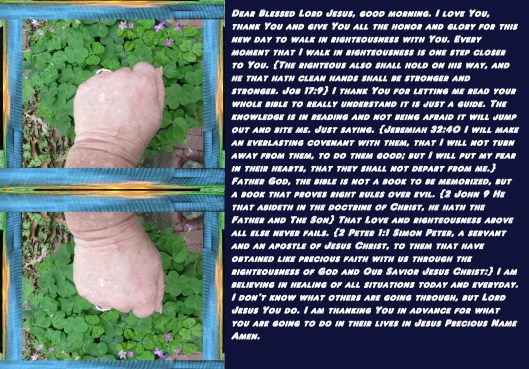 © Photo Artist Susan Ruth Robertson 090025006100 001 (5) - Copy.JPG