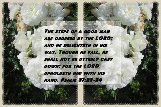 photo-artist-susan-ruth-robertson-090025006100-003-19-copy-copy