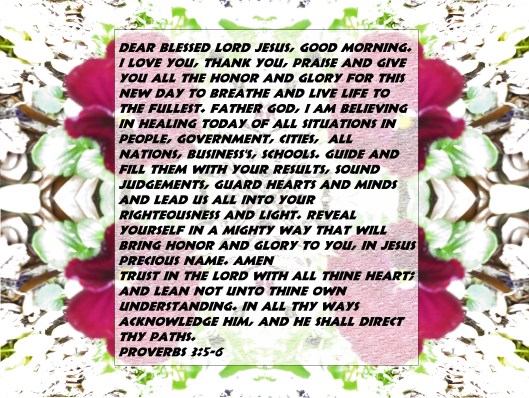 photo-artist-susan-ruth-robertson-090025006100-003-copy-copy-copy-copy