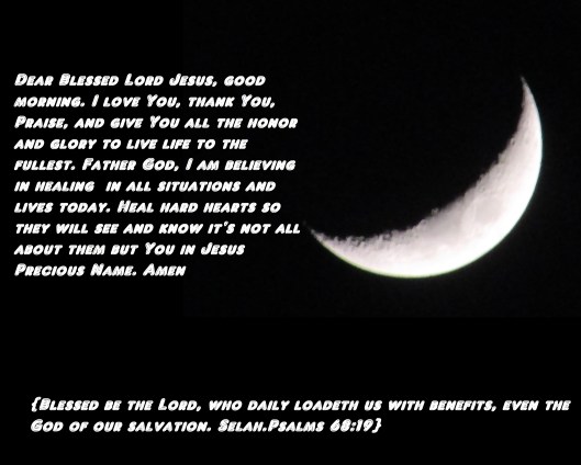 © Photo Artist Susan Ruth Robertson 090025006100 003.JPG