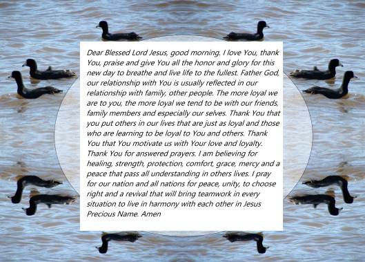 © Photo Artist Susan Ruth Robertson 090025006100 009 - Copy - Copy - Copy.JPG