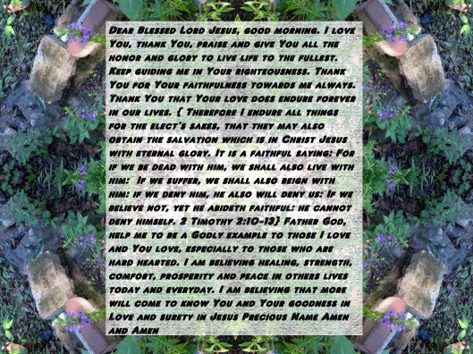 © Photo Artist Susan Ruth Robertson 090025006100 009 - Copy.JPG