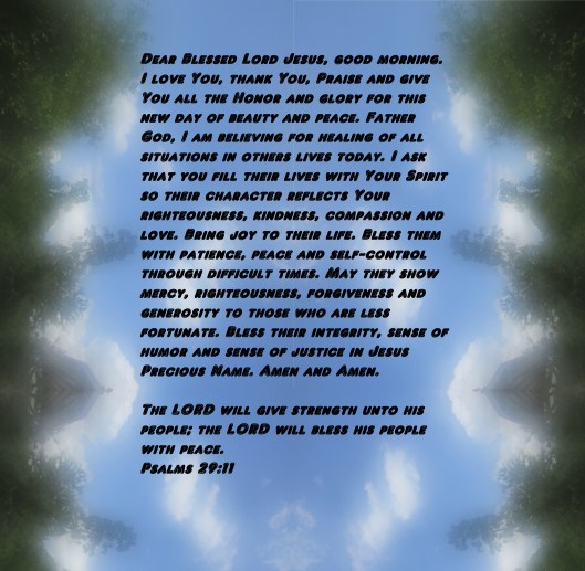 © Photo Artist Susan Ruth Robertson 090025006100 012 - Copy.JPG