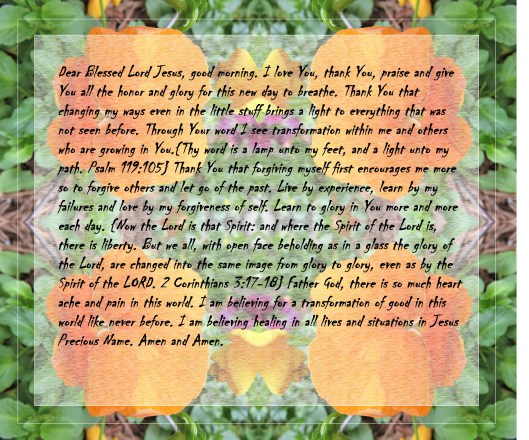 © Photo Artist Susan Ruth Robertson 090025006100 013 (2) - Copy - Copy - Copy.JPG