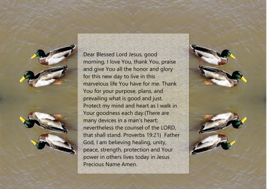 © Photo Artist Susan Ruth Robertson 090025006100 019 - Copy - Copy.JPG