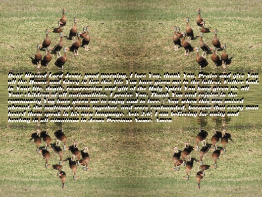 © Photo Artist Susan Ruth Robertson 090025006100 021 - Copy.JPG