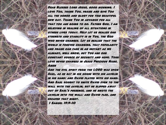 © Photo Artist Susan Ruth Robertson 090025006100 023 - Copy - Copy - Copy - Copy - Copy - Copy.JPG