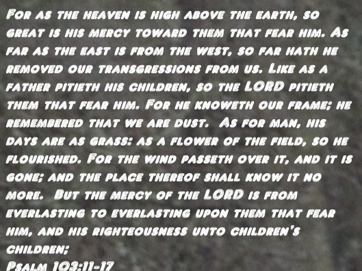 © Photo Artist Susan Ruth Robertson 090025006100 029.JPG