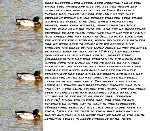 © Photo Artist Susan Ruth Robertson 090025006100 033 - Copy - Copy.JPG