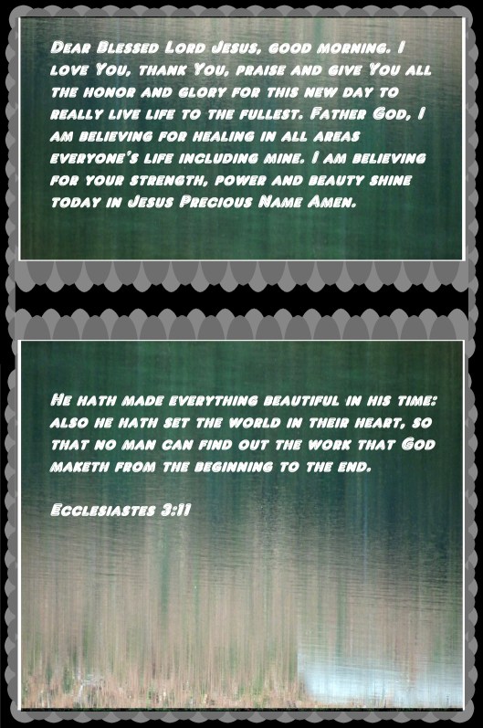 © Photo Artist Susan Ruth Robertson 090025006100 041 - Copy.JPG