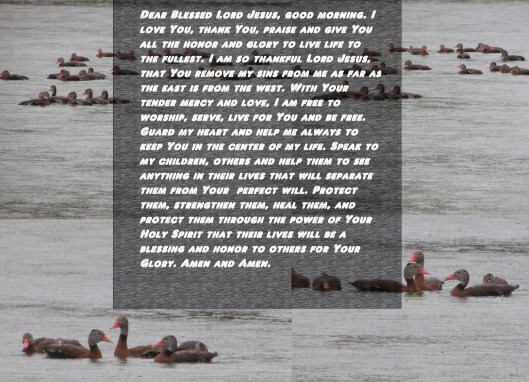 © Photo Artist Susan Ruth Robertson 090025006100 041.JPG