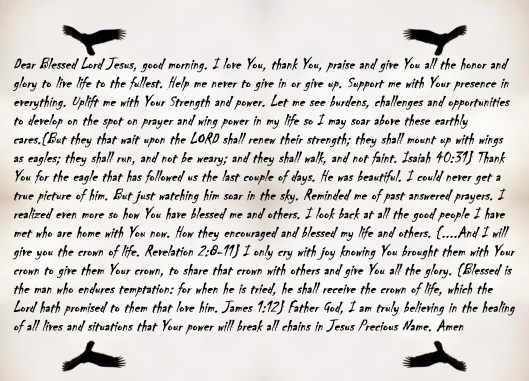 © Photo Artist Susan Ruth Robertson 090025006100 046 - Copy - Copy (2).JPG