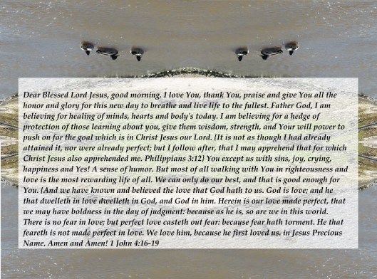 © Photo Artist Susan Ruth Robertson 090025006100 056 - Copy - Copy (2).JPG