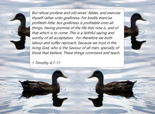 © Photo Artist Susan Ruth Robertson 090025006100 062 - Copy.JPG