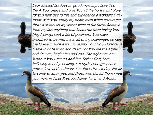 © Photo Artist Susan Ruth Robertson 090025006100 066 - Copy.JPG