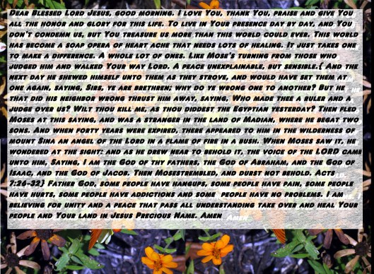 © Photo Artist Susan Ruth Robertson 090025006100 069 - Copy.JPG